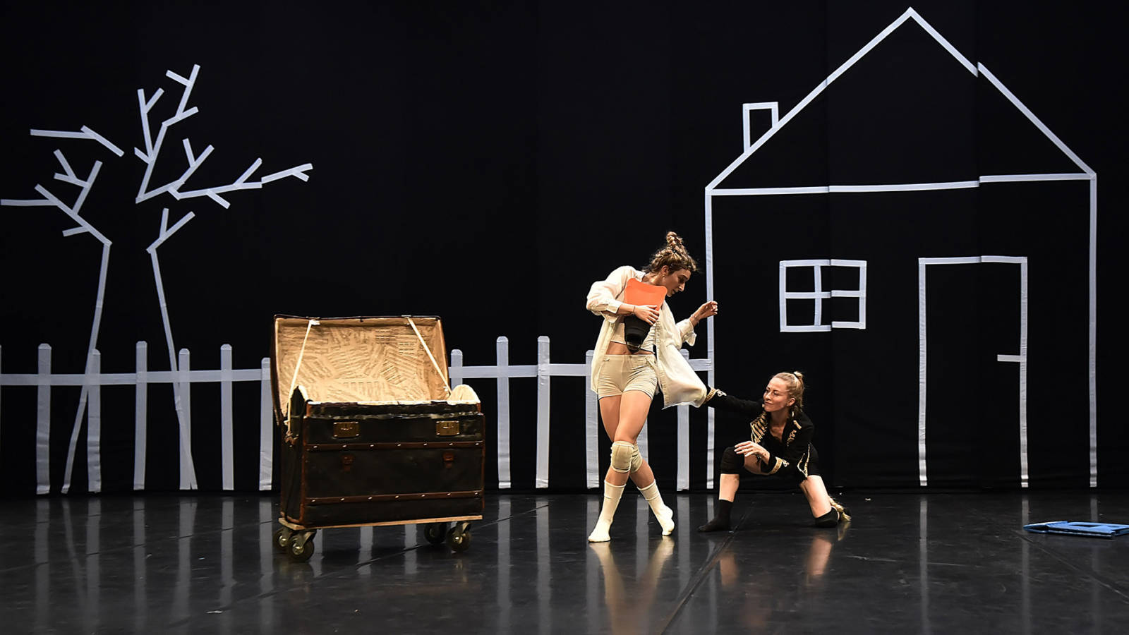 Pierre & le Loup Théatre du Châtelet